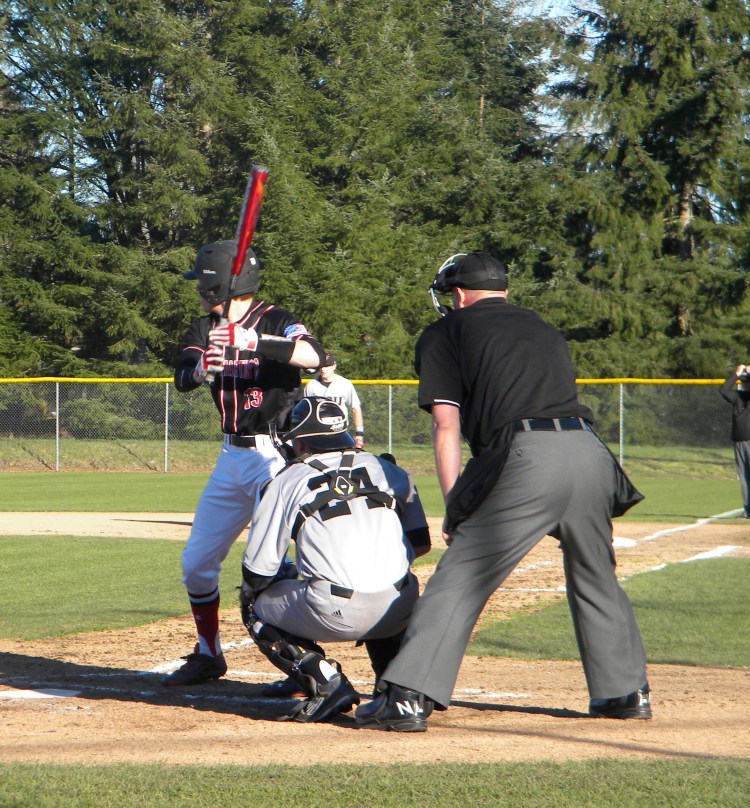 Sports writer David Bellamy up to bat